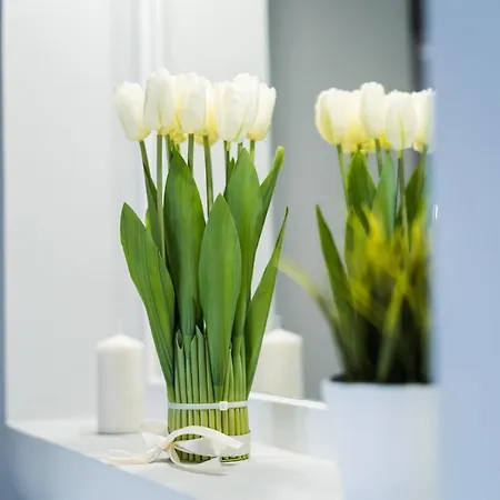 Apartment Market Square - Rynek 44 - Opposit Town Hall - 3 Wroclaw