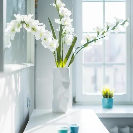 Market Square - Rynek 44 - Opposit Town Hall - 3 *